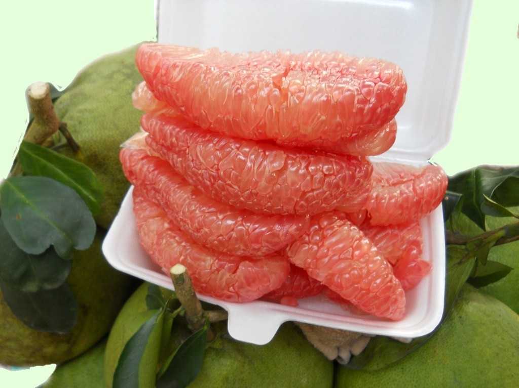/uploads/images/buoi-huu-co/buoi-da-xanh-308-3.jpg