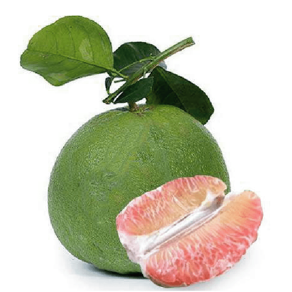 Bưởi Da Xanh Loại 1 (1.4kg – 1.6kg)